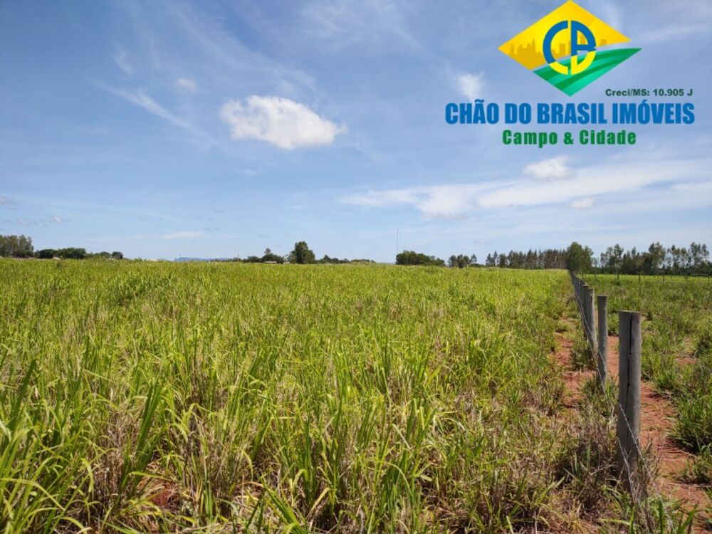 Chácara à venda com 2 quartos, 22900m² - Foto 3