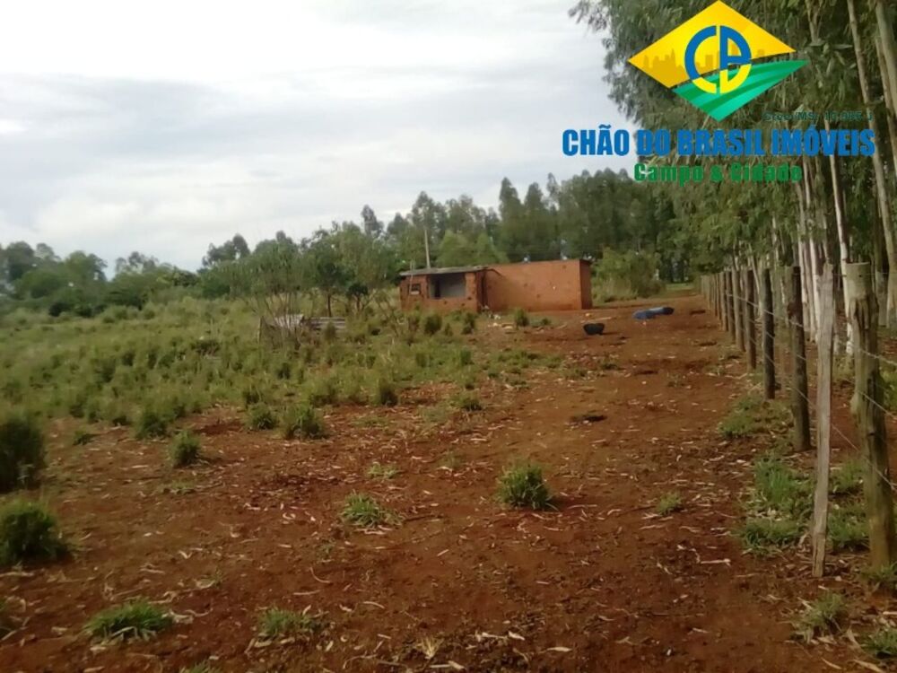 Chácara à venda com 2 quartos, 22900m² - Foto 4