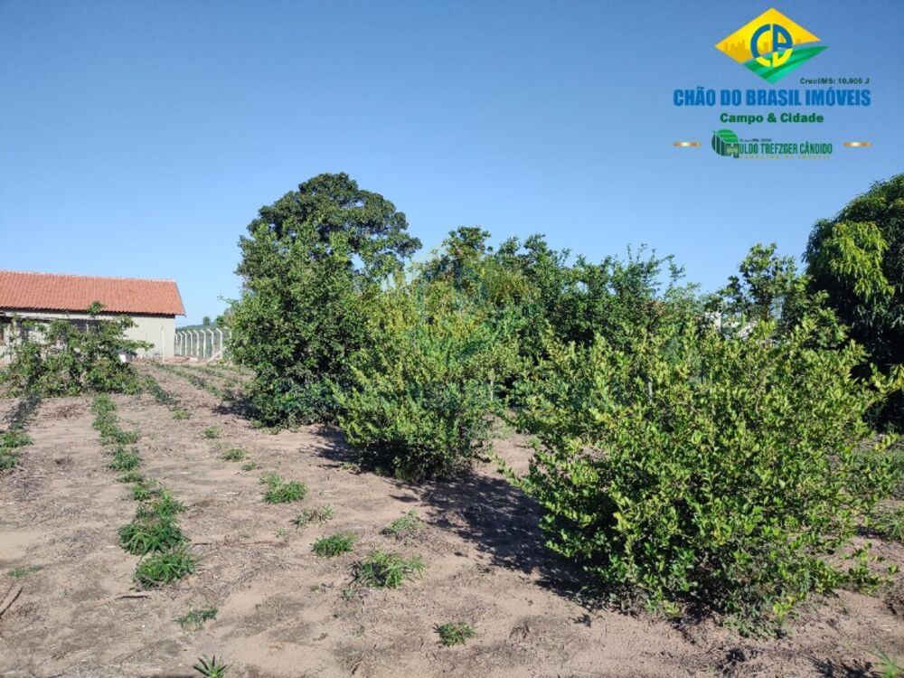 Terreno, 1325 m² - Foto 4