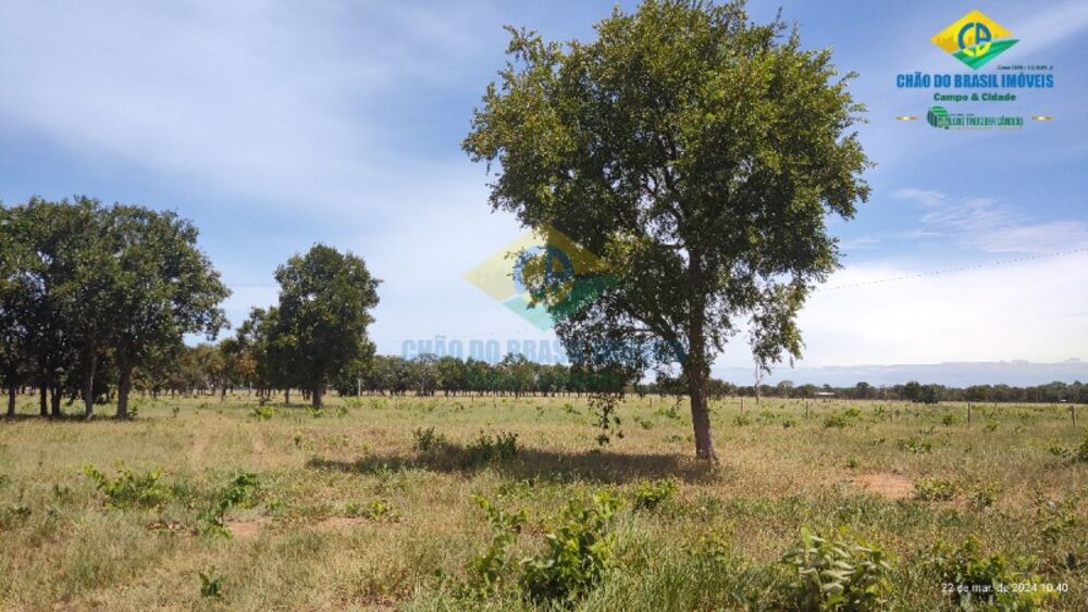 Chácara, 1 quarto - Foto 3