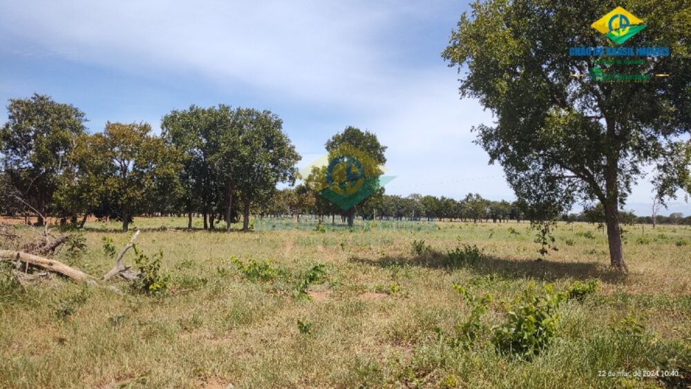 Chácara, 1 quarto - Foto 2