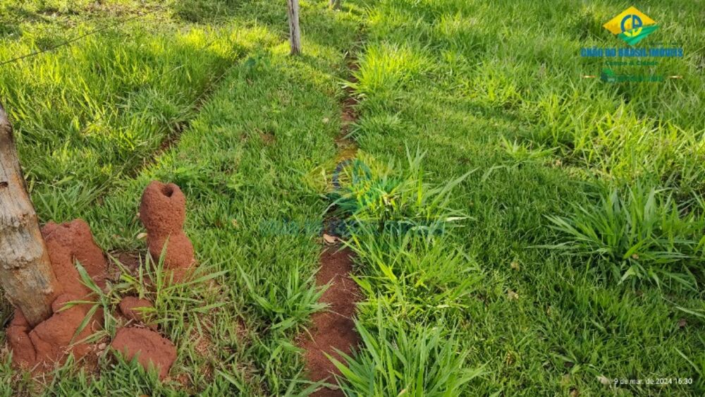 Chácara, 1 quarto - Foto 4