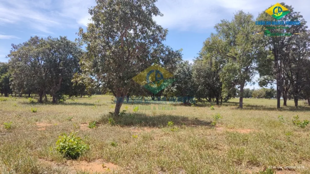 Sítio, 1 quarto, 100 m² - Foto 4