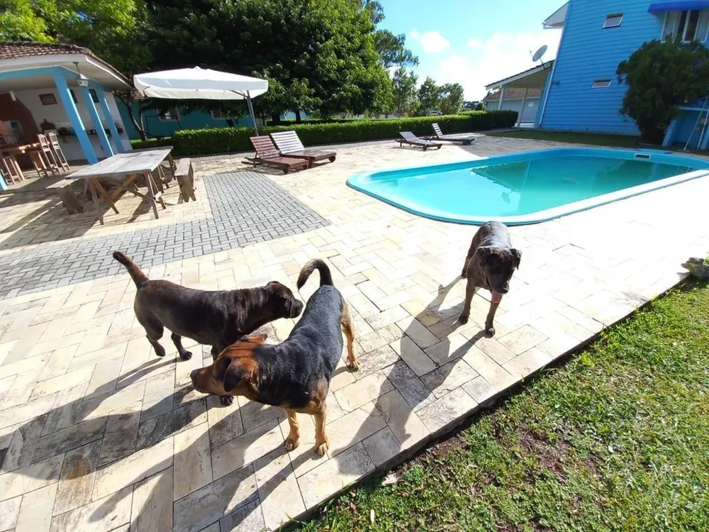 Chácara, 3 quartos, 5000 m² - Foto 5