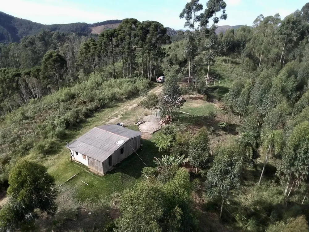 Sítio, 2 quartos, 5 hectares - Foto 1