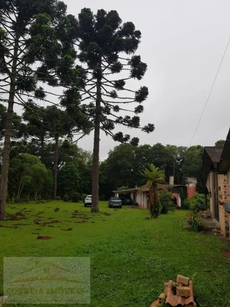 Chácara, 4 quartos, 2 hectares - Foto 11