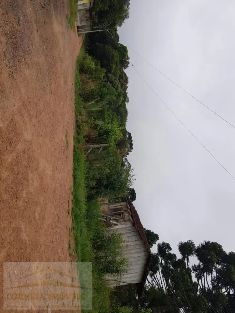 Chácara, 4 quartos, 2 hectares - Foto 8
