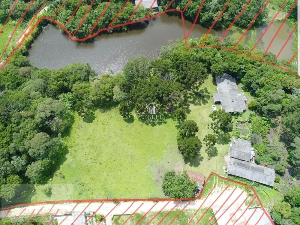 Chácara, 4 quartos, 2 hectares - Foto 2