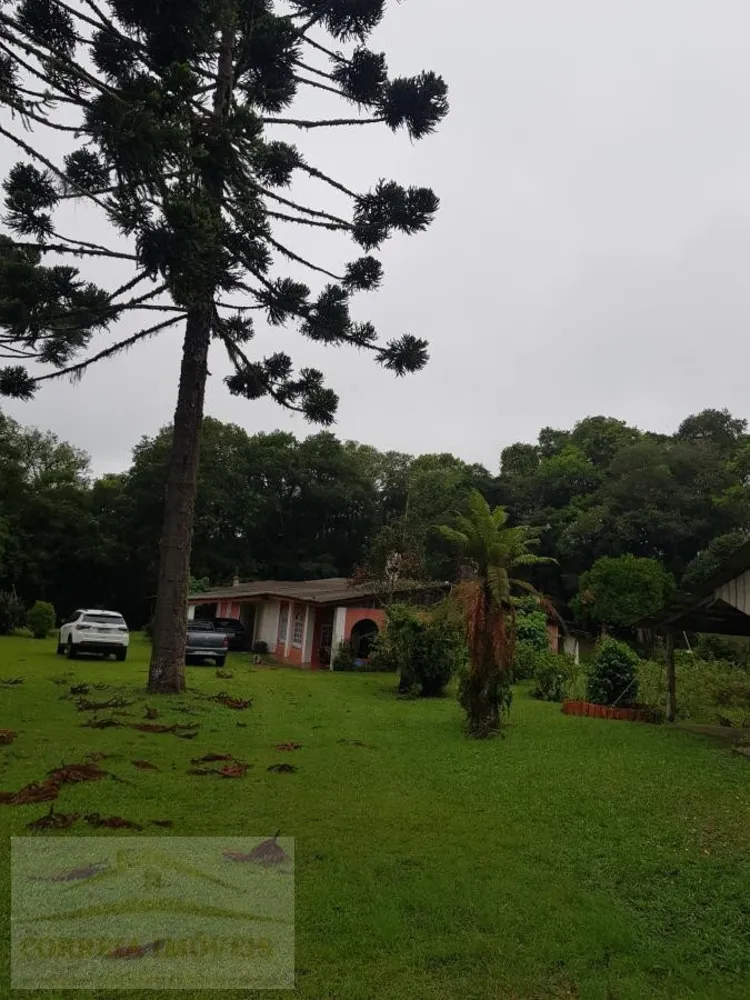 Chácara, 4 quartos, 2 hectares - Foto 10