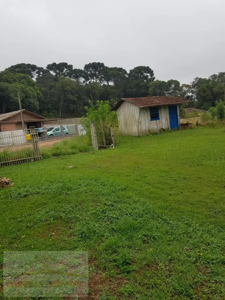 Chácara, 4 quartos, 2 hectares - Foto 12