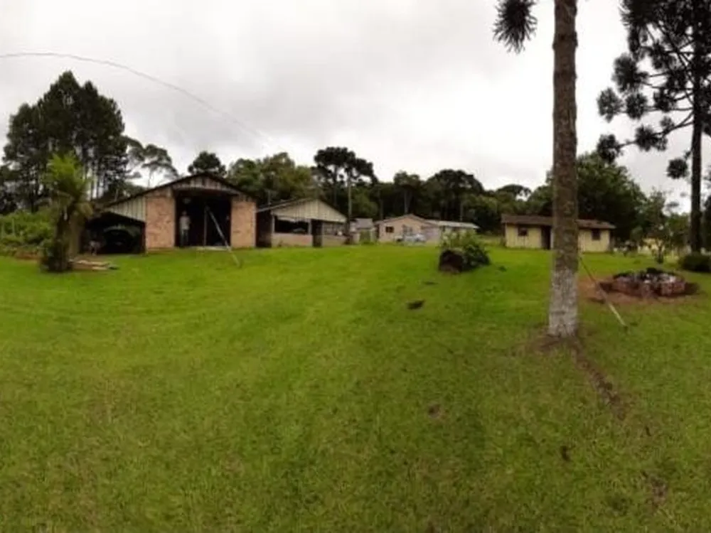 Chácara, 4 quartos, 2 hectares - Foto 6