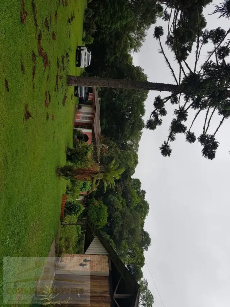 Chácara, 4 quartos, 2 hectares - Foto 7