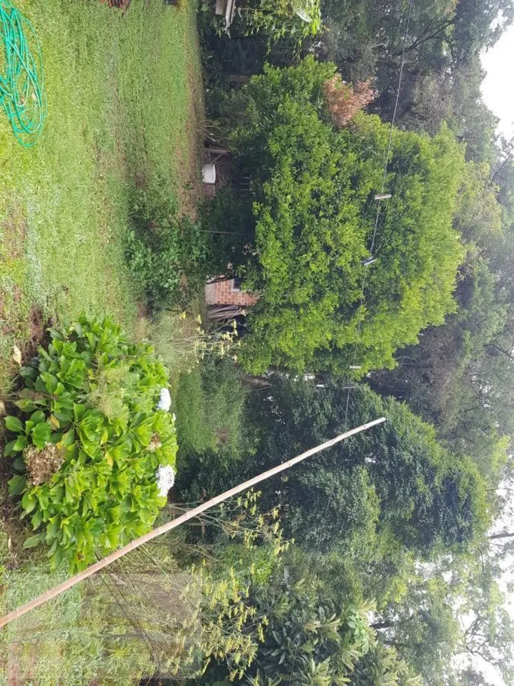 Sítio, 4 quartos, 2 hectares - Foto 2