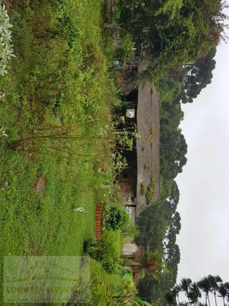 Chácara, 4 quartos, 2 hectares - Foto 14