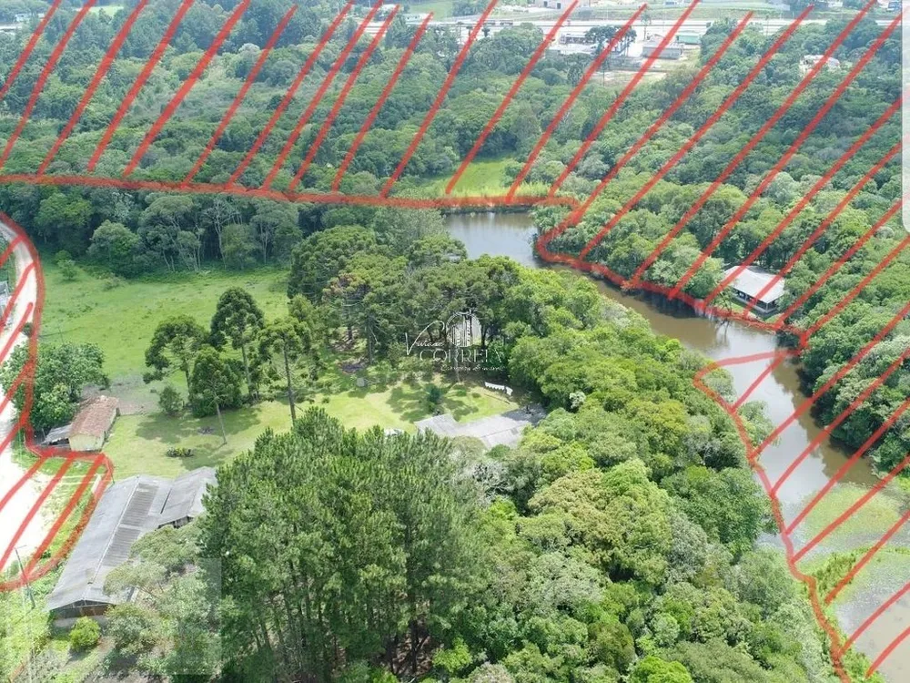 Chácara, 4 quartos, 2 hectares - Foto 3