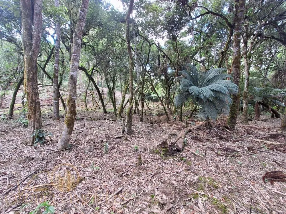 Chácara, 8144 m² - Foto 6