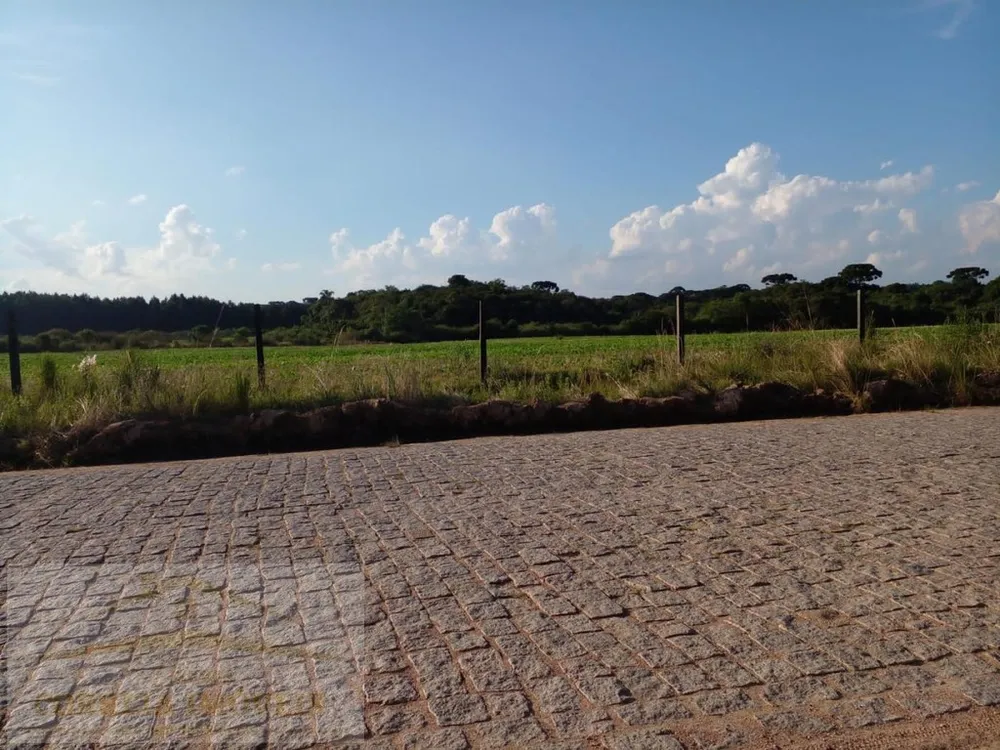Terreno, 2 hectares - Foto 8