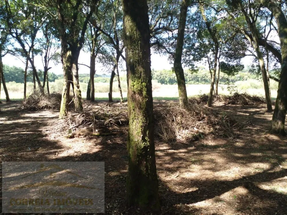 Terreno, 2 hectares - Foto 1