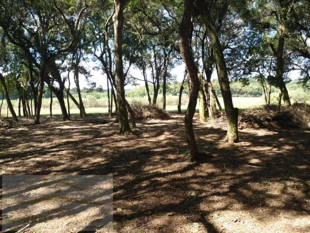 Terreno, 2 hectares - Foto 1
