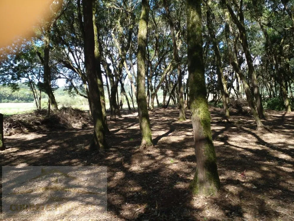 Terreno, 2 hectares - Foto 2