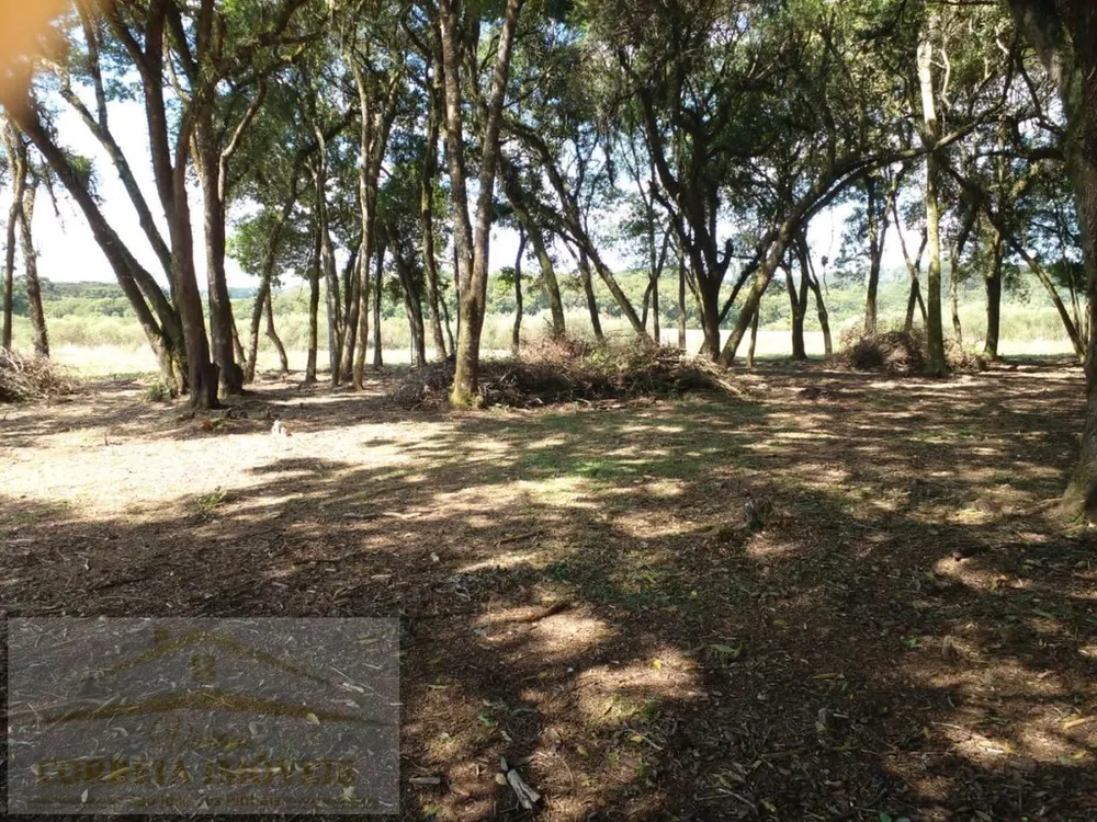 Terreno, 2 hectares - Foto 3