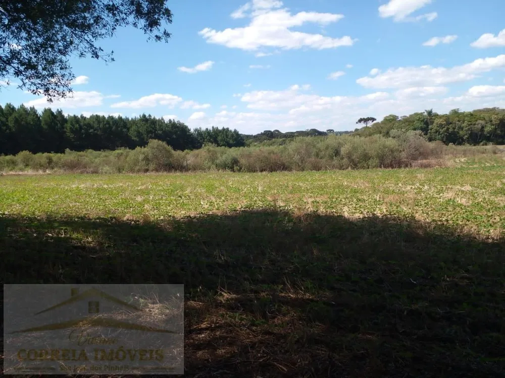 Terreno, 2 hectares - Foto 4
