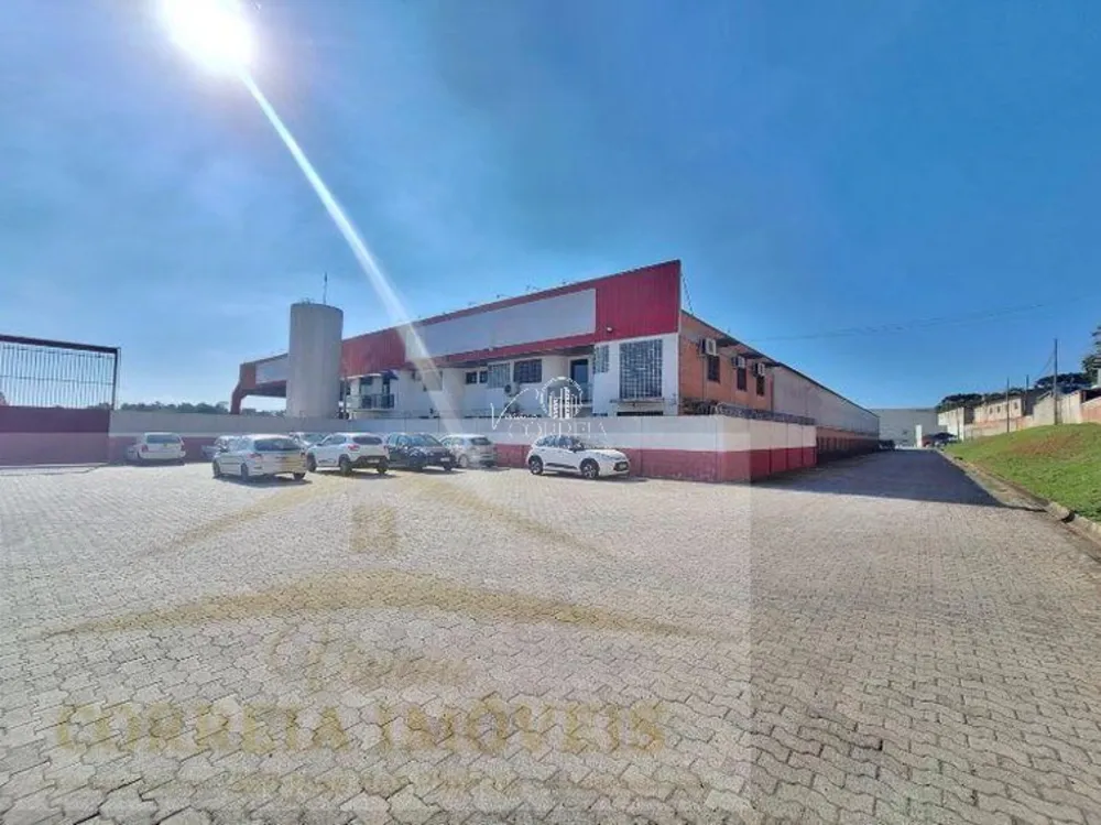 Terreno, 6 hectares - Foto 6