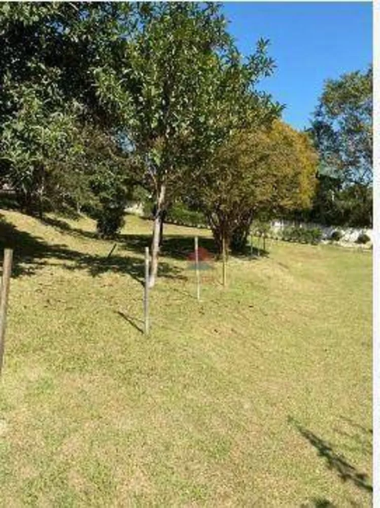 Chácara, 4 quartos, 5858 m² - Foto 3