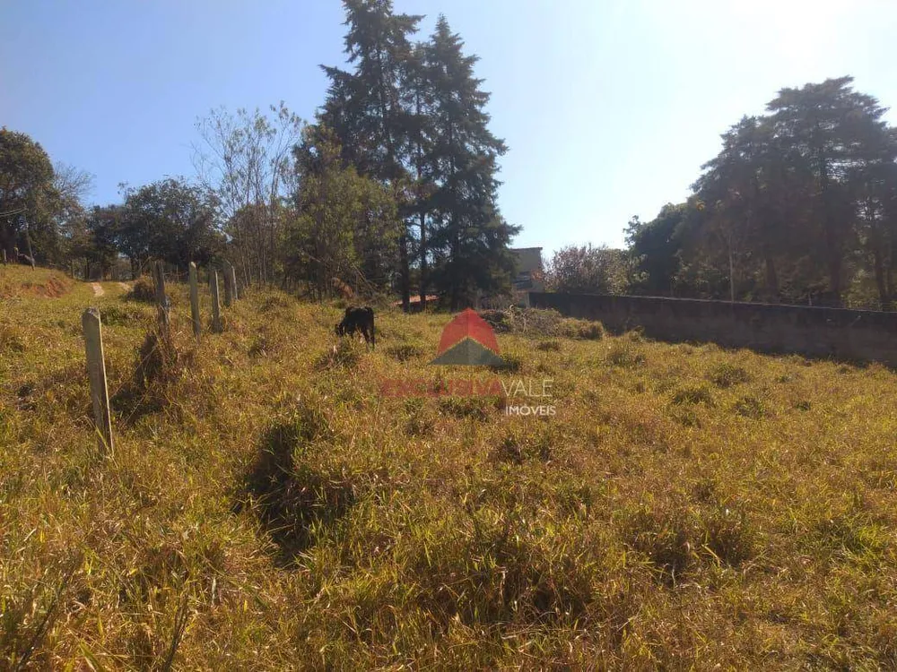Chácara, 1 quarto, 2730 m² - Foto 3