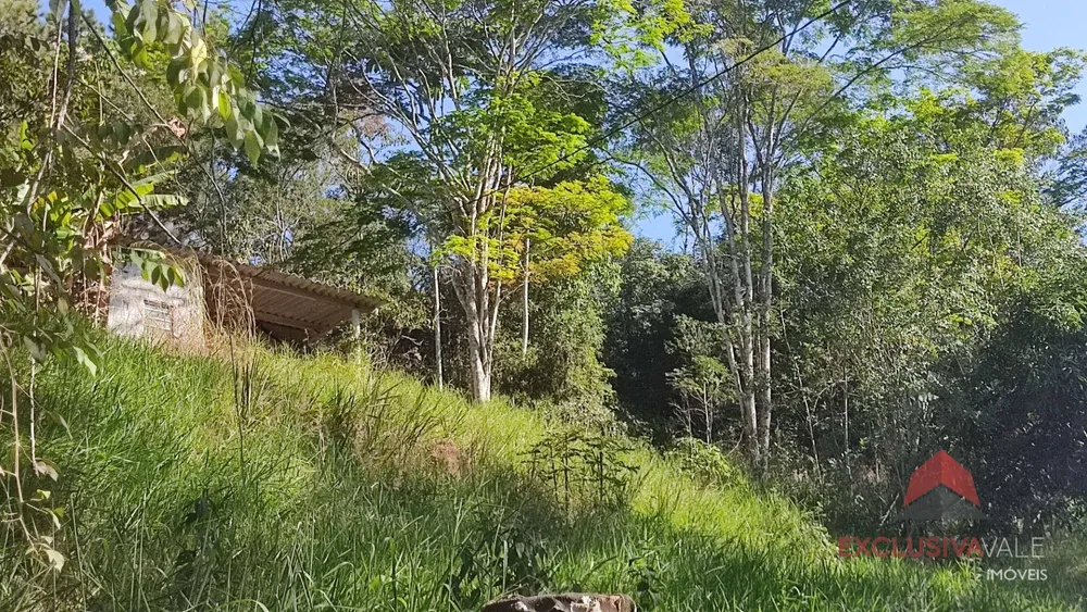 Terreno, 5000 m² - Foto 4