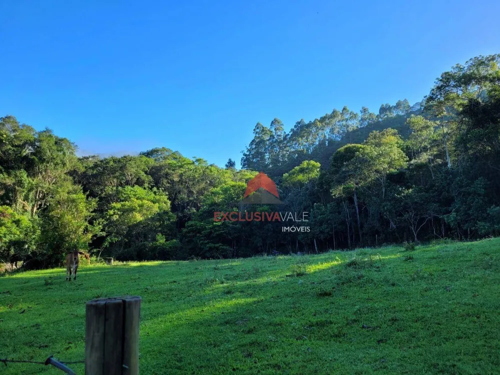 Sítio, 18 hectares - Foto 4