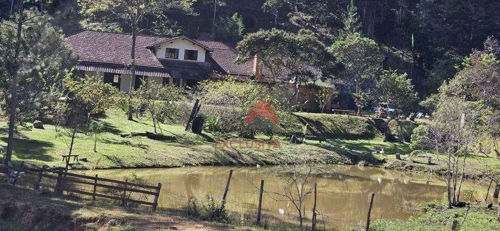 Chácara, 8 quartos, 31 hectares - Foto 4
