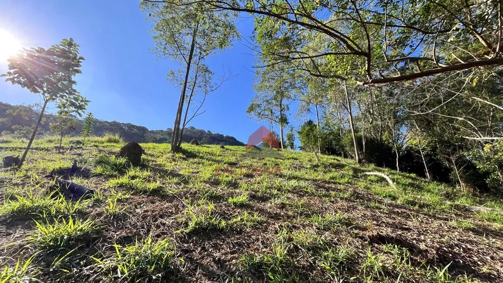 Terreno, 8000 m² - Foto 1