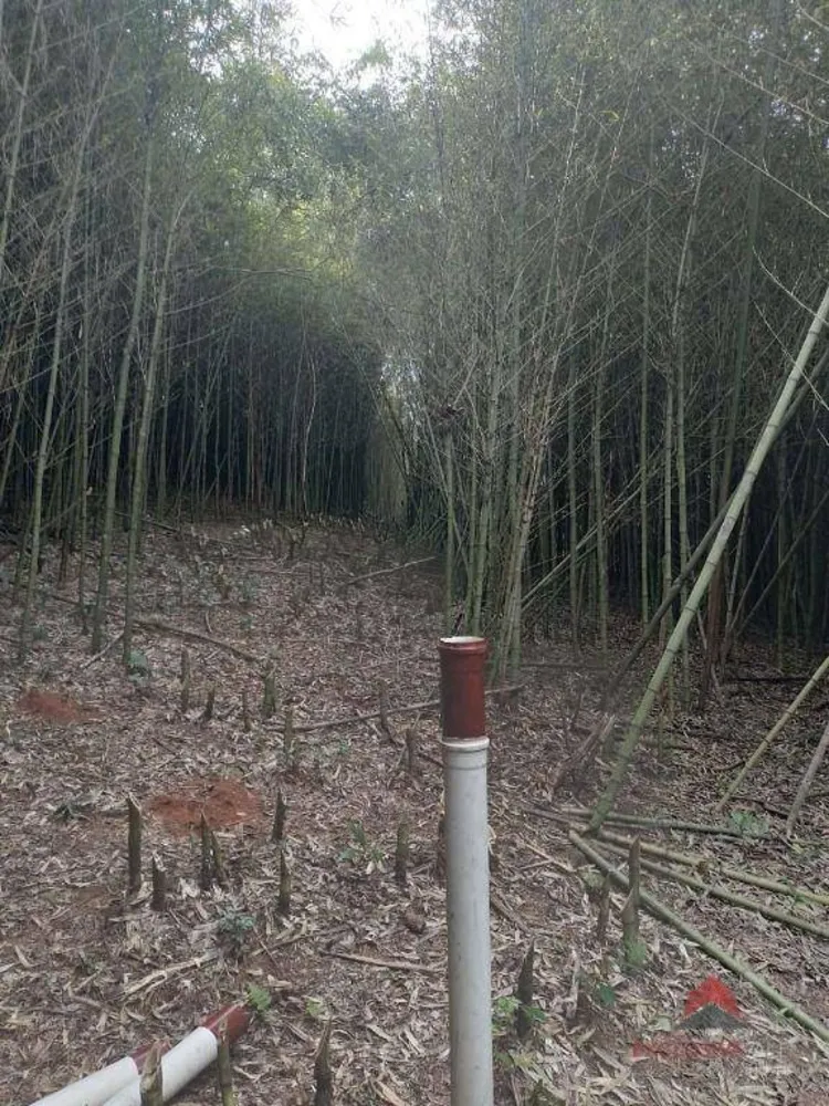 Terreno, 10 hectares - Foto 1