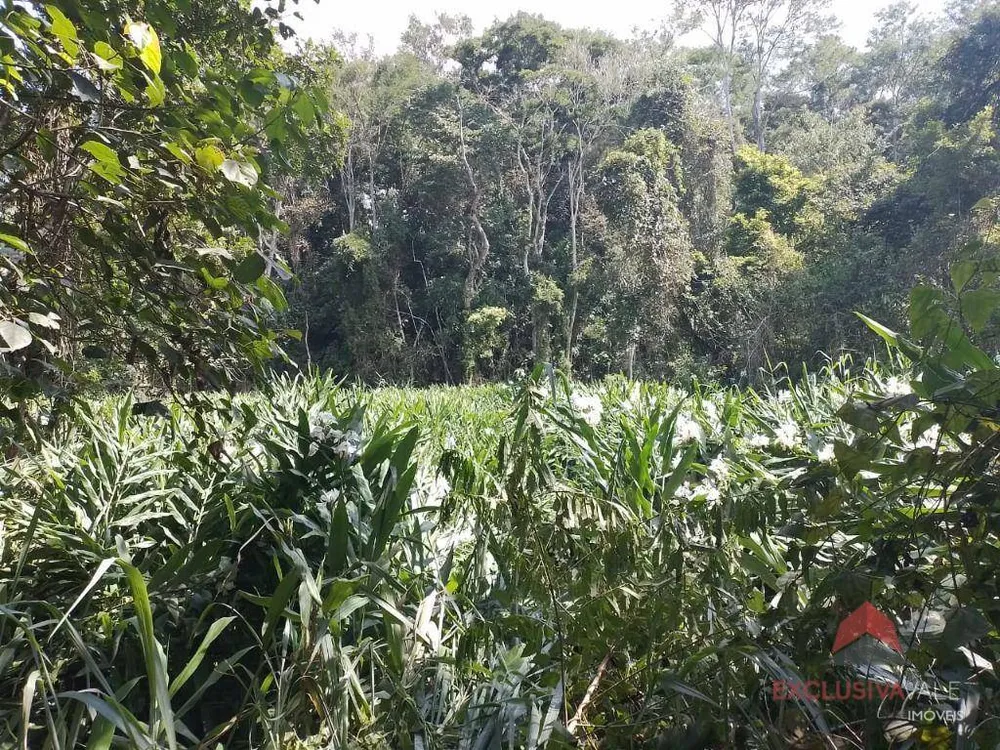 Terreno, 10 hectares - Foto 3