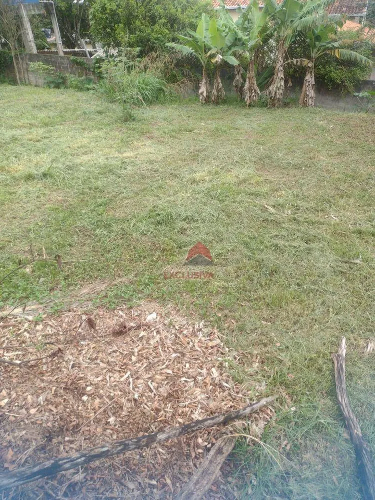 Terreno, 1000 m² - Foto 3