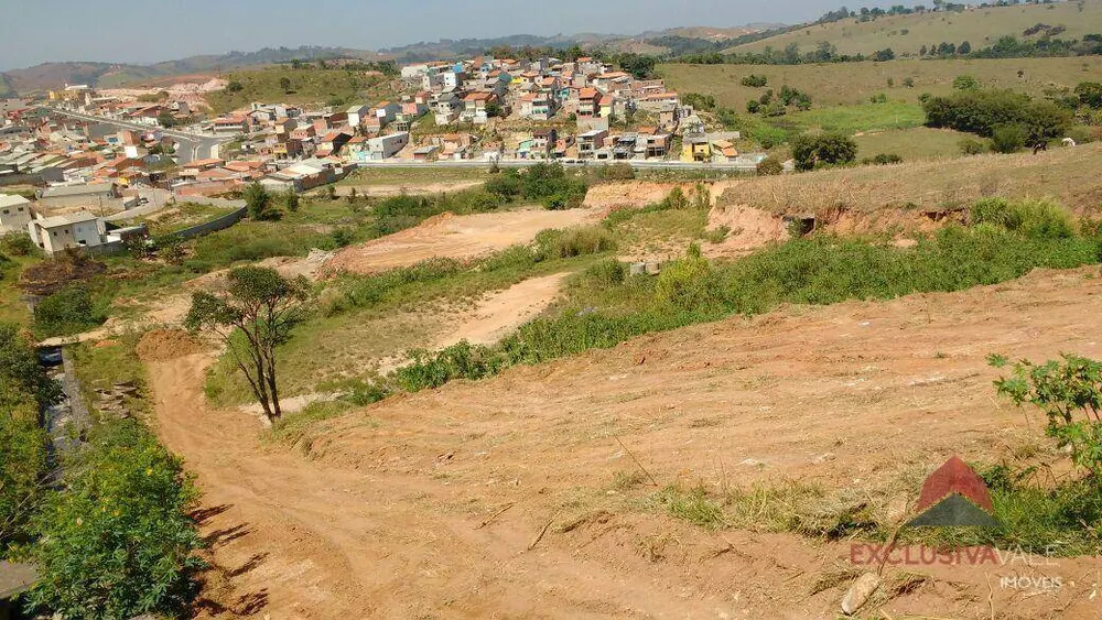 Terreno, 8 hectares - Foto 2