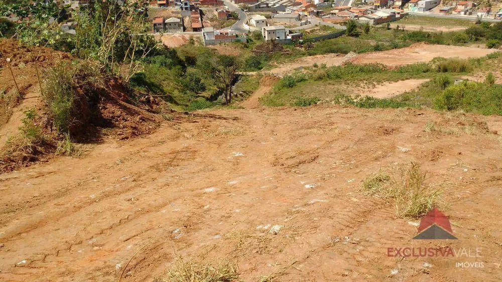 Terreno, 8 hectares - Foto 3