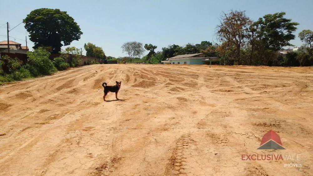 Terreno, 8 hectares - Foto 4
