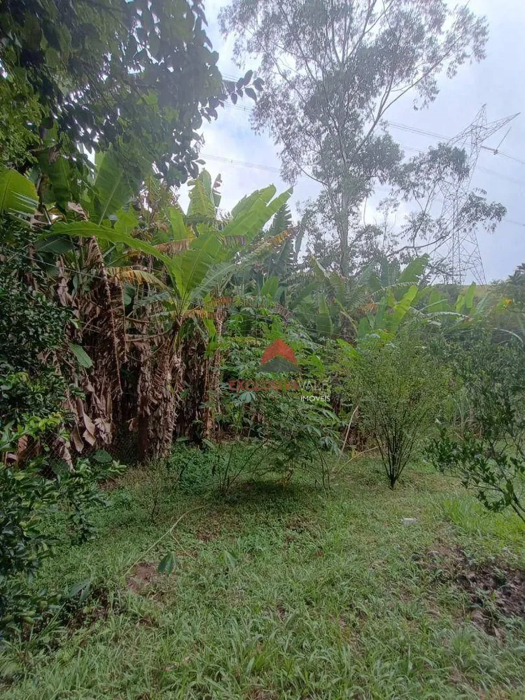 Chácara, 2 quartos, 3500 m² - Foto 1