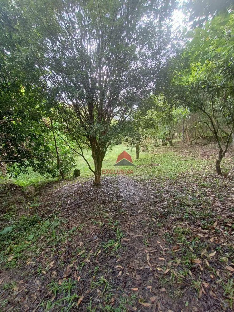 Chácara, 2 quartos, 3500 m² - Foto 2