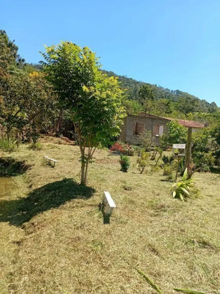Chácara, 2 quartos, 2 hectares - Foto 3