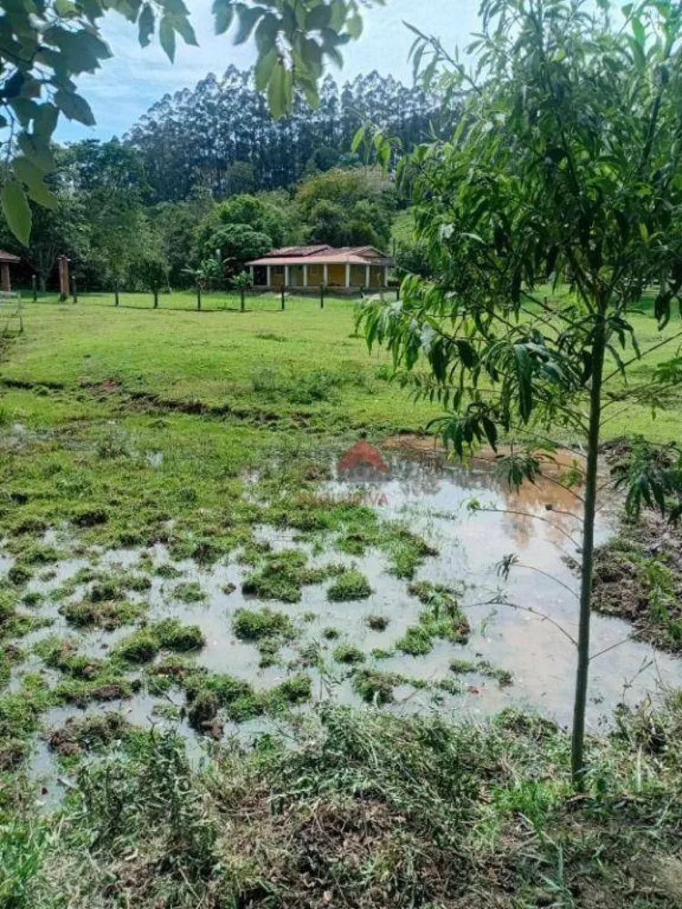 Chácara, 2 quartos, 2 hectares - Foto 2