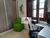 Casa, 4 quartos, 318 m² - Foto 5