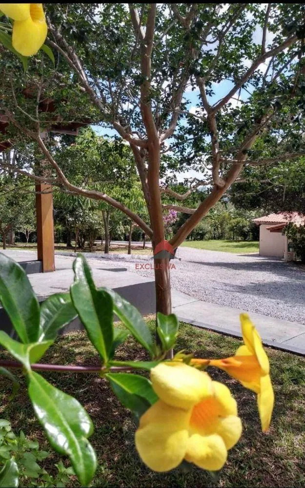 Chácara, 4 quartos, 6160 m² - Foto 3
