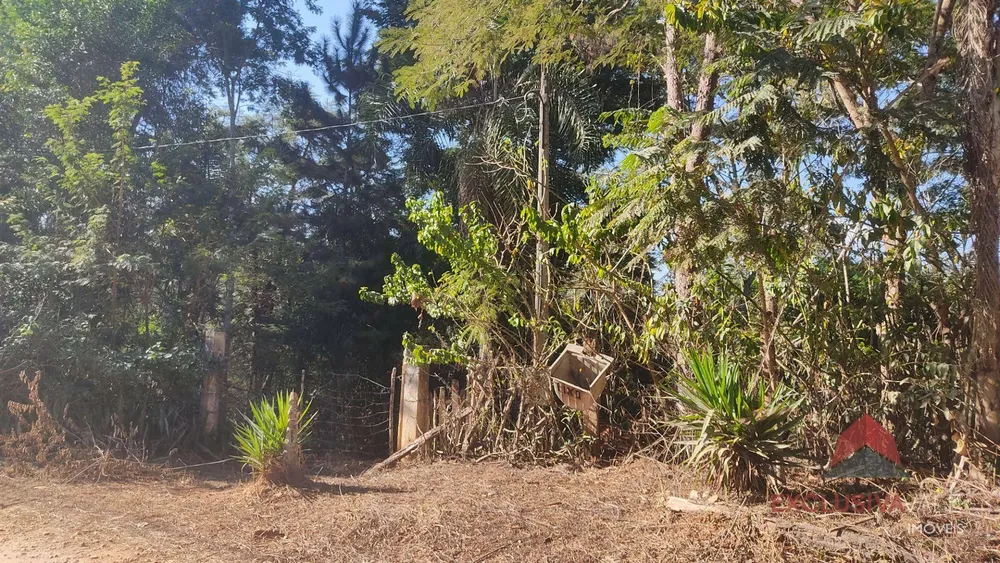 Terreno, 5000 m² - Foto 1
