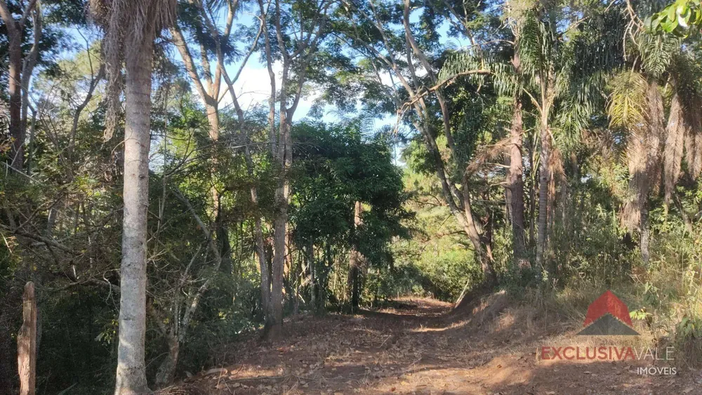 Terreno, 5000 m² - Foto 2