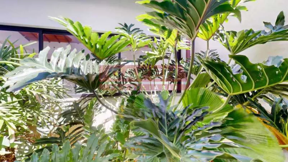 Apartamento, 4 quartos, 300 m² - Foto 6