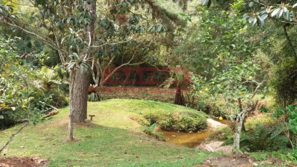 Sítio, 3 quartos, 4 hectares - Foto 21