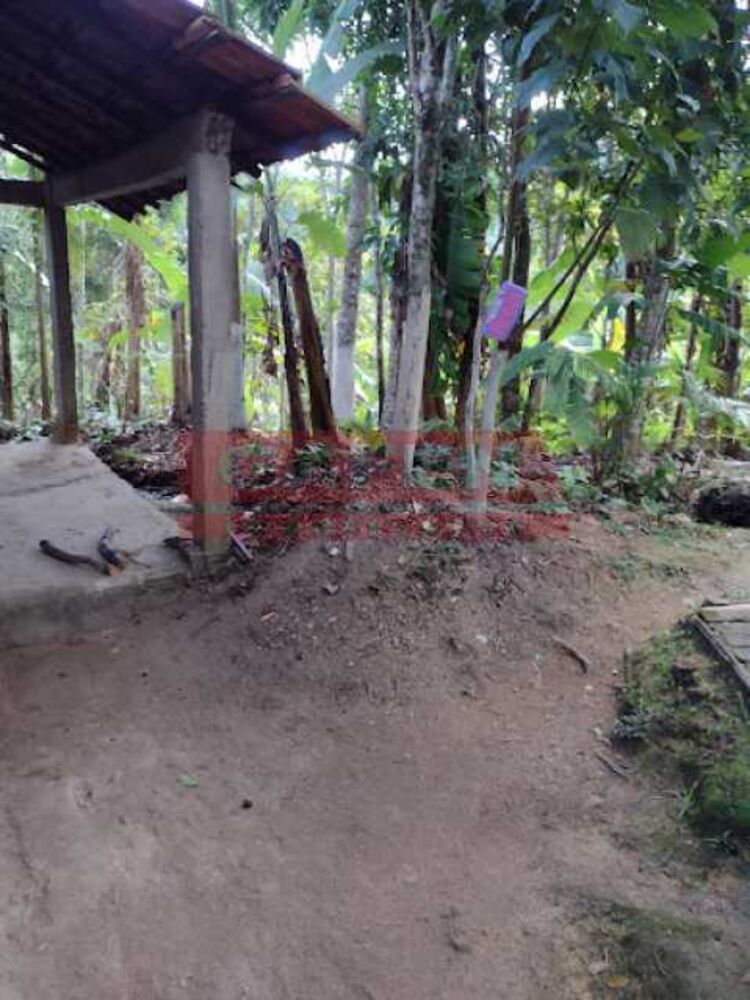 Terreno à venda com 2 quartos, 231000m² - Foto 2